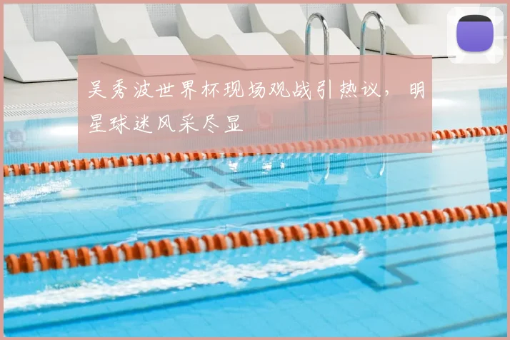 吴秀波世界杯现场观战引热议,明星球迷风采尽显