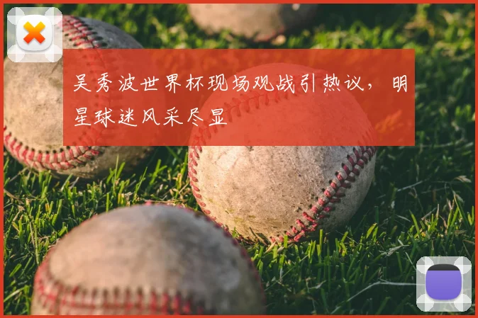 吴秀波世界杯现场观战引热议,明星球迷风采尽显