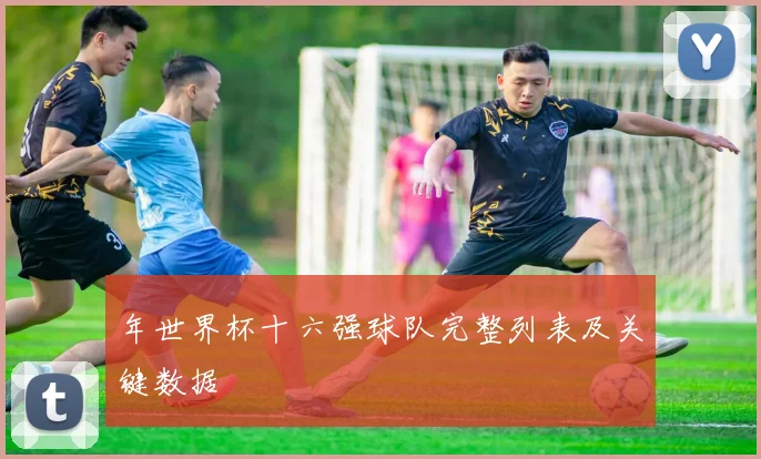 年世界杯十六强球队完整列表及关键数据